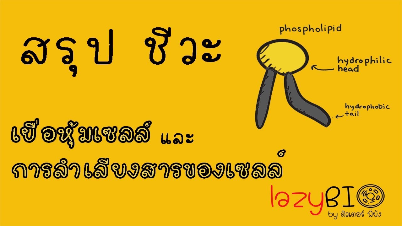 สรุปชีวะ เยื่อหุ้มเซลล์ และ การลำเลียงสารของเซลล์