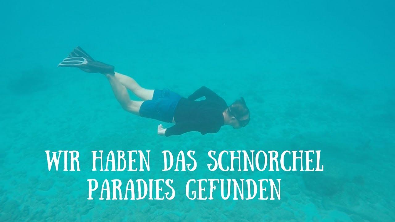 Wir haben das Schnorchel- Paradies gefunden- Der beste Platz in Guadeloupe zum Tauchen-Ep.110