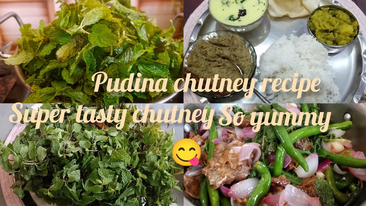 #🌿🌶️welcome to my channel#Monday 😋 special#pudina chutney recipe#🥰🤤 #like#subscribe# 