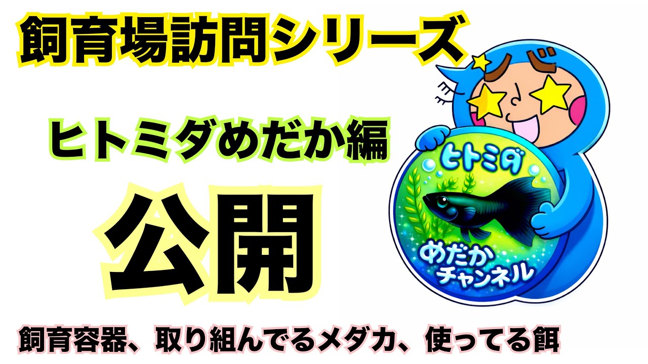 【メダカ】飼育場訪問シリーズ！ヒトミダめだか編！色々公開します！