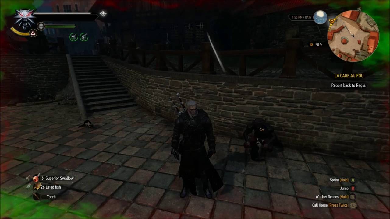 The Witcher 3: death by toxicity