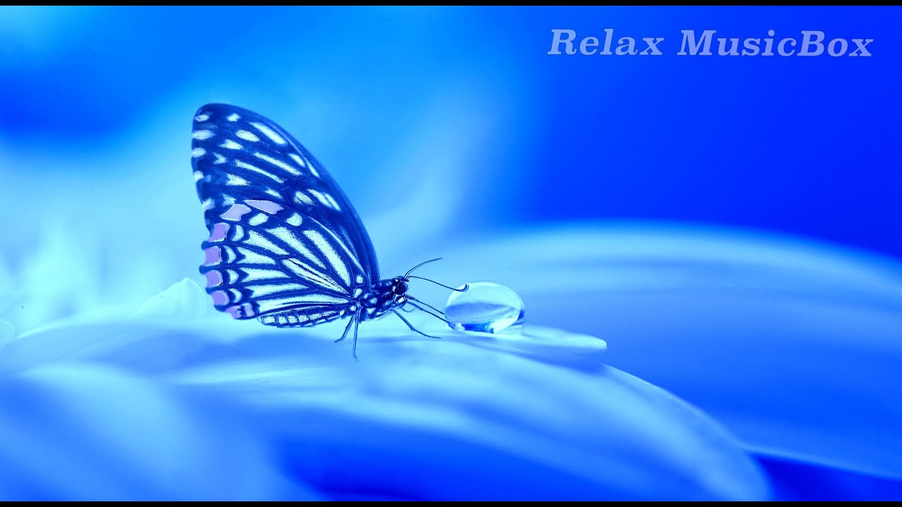 🔴Calm Relaxing Piano Music with Birds Singing🔸33 minutes Beautiful Romantic Music🔸Soothing Sounds