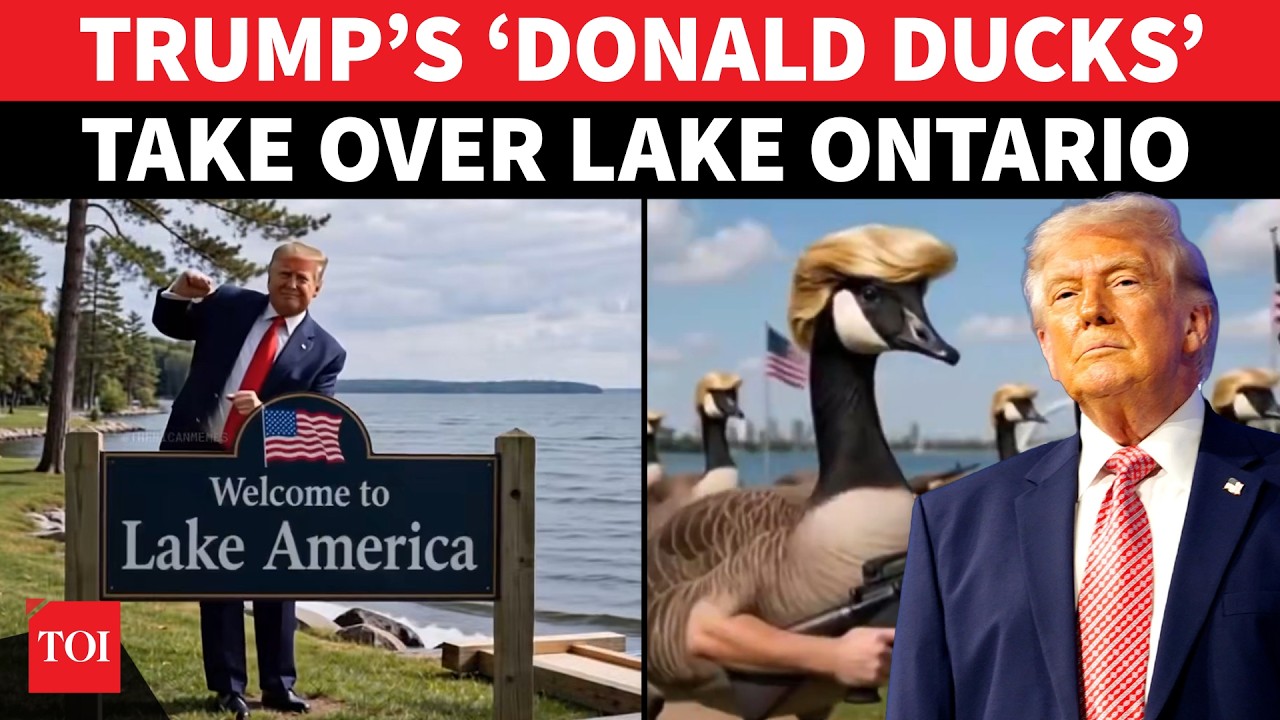 &lsquo;DONALD DUCKS VS CANADIAN GEESE!&rsquo;: Trump Wages BIZARRE War On Lake Ontario; Canada On Edge | WATCH