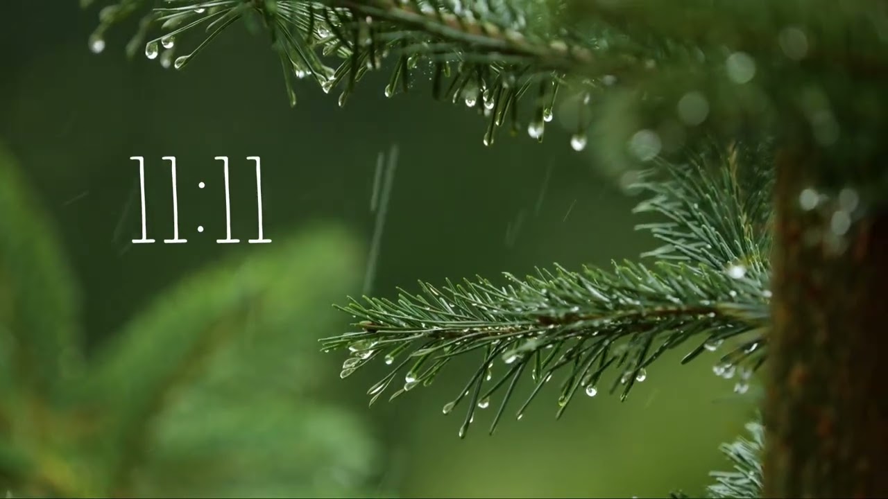 432Hz Frequency + Rain Sounds 🌊 Inner Peace Meditation