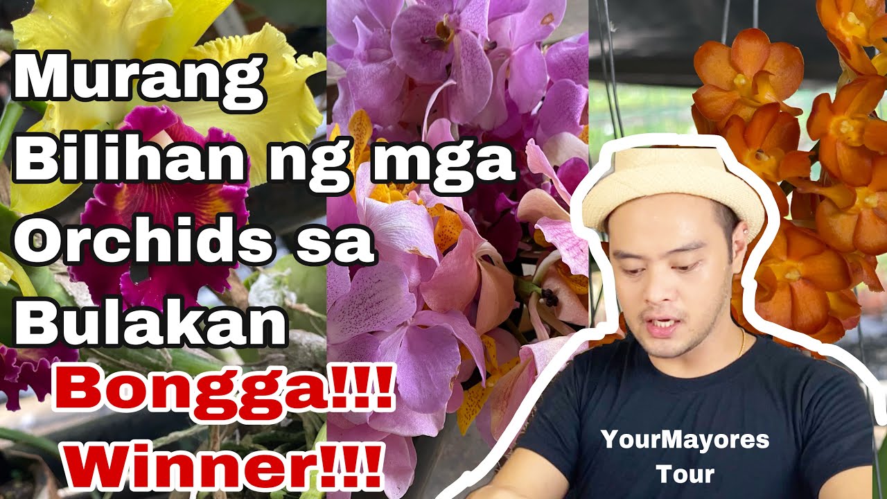 MURANG ORCHIDS SA BULAKAN (SAN RAFAEL) || C & B FARM TOUR BY YOURMAYORES THE BEKIKINGS KITCHEN