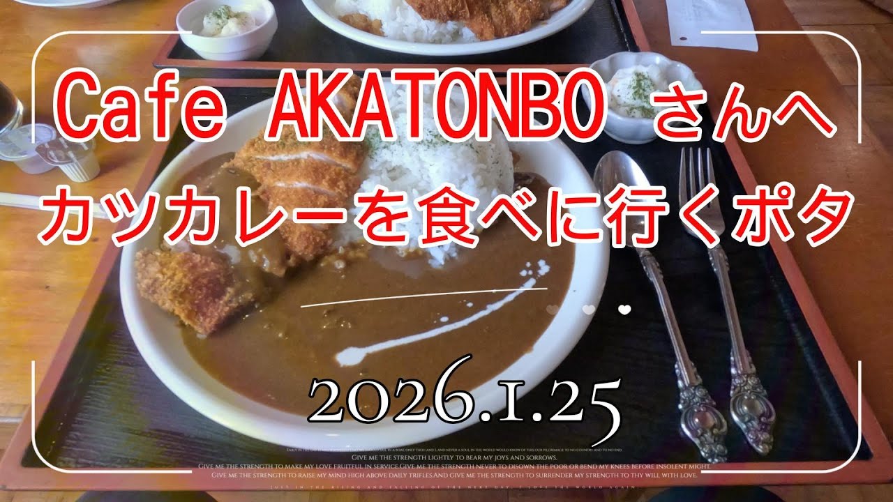 【Cafe AKATONBO】さんへカツカレーを食べに行くポタ