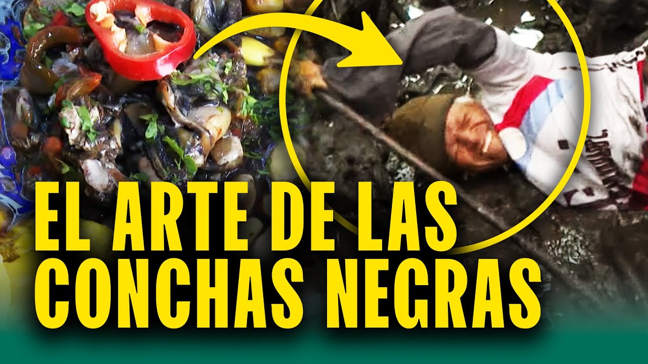 ¿Conoces el arte de cocinar conchas negras peruanas?