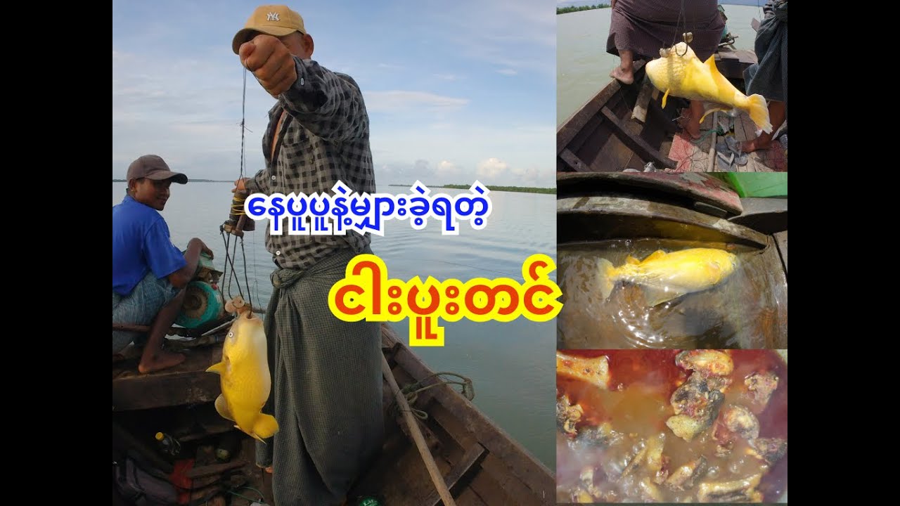 နေပူပူနဲ့မျှားခဲ့ရတဲ့ ငါပူတင်း