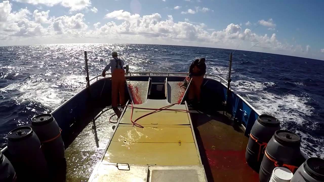 Commercial Albacore Jig fishing 2016