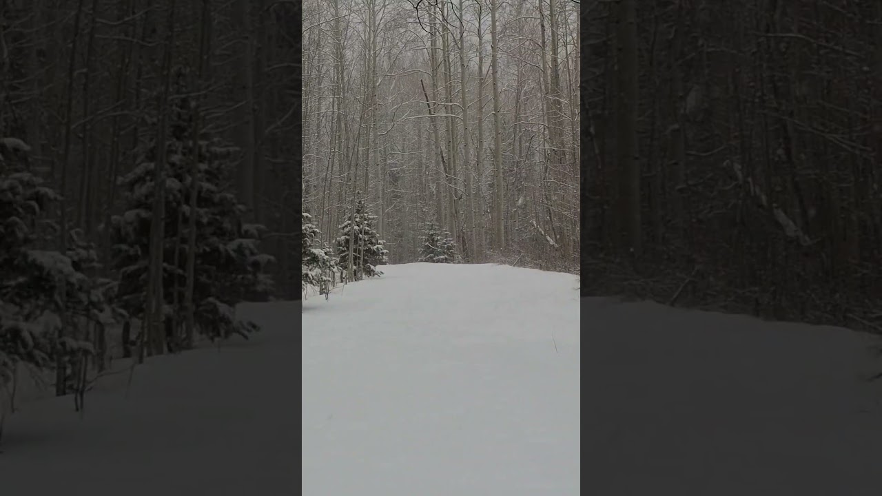 East Florida Trail outside Durango,  Colorado