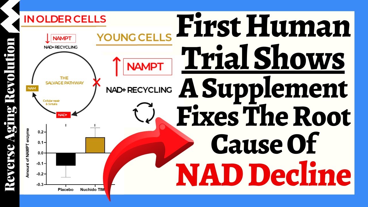 FIRST HUMAN TRIAL Shows A Supplement RESTORES Our Youthful NAD Production & FIXES NAD Decline