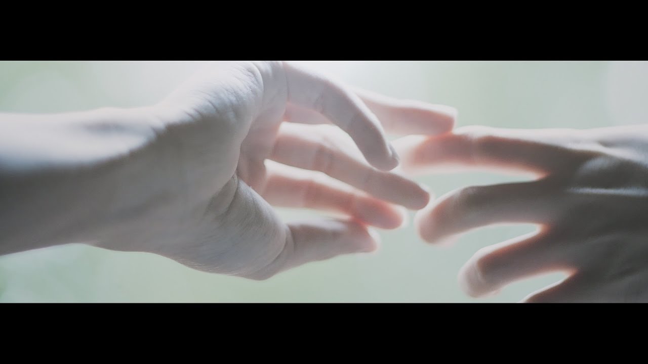 Sori Sawada「魚と猫」Music Video