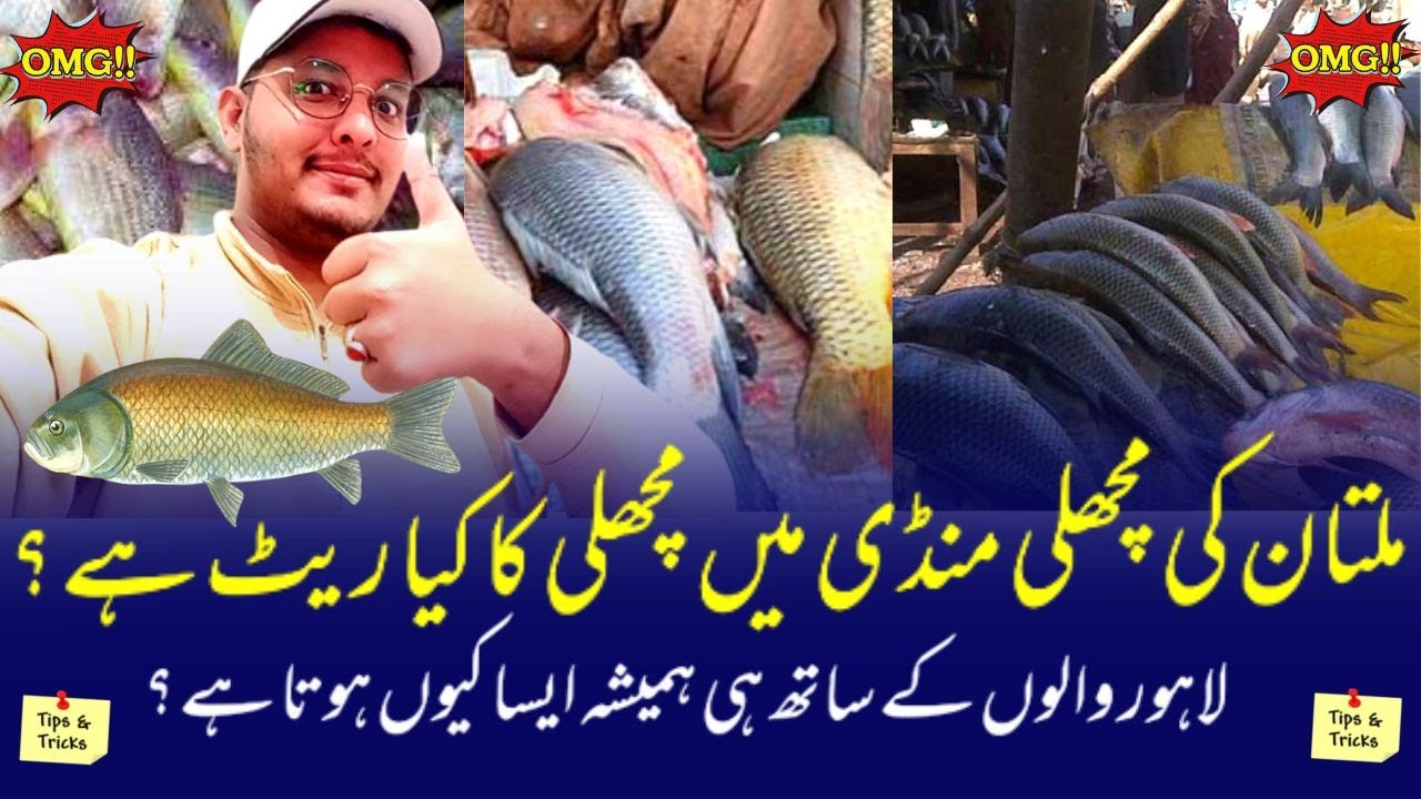 Multan ki Fish Market ma kia Rate Ha Fish Ka?? | Lahore walon Ky Sath hi q Hota ha?