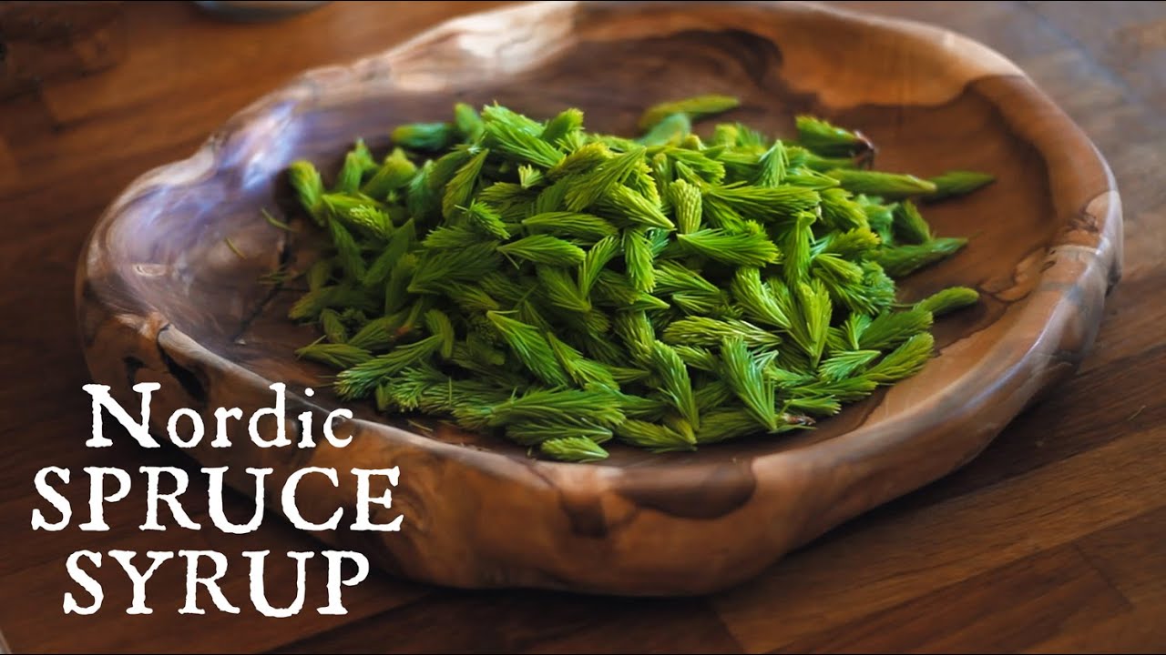 Making Nordic Spruce Syrup | Food from the forest