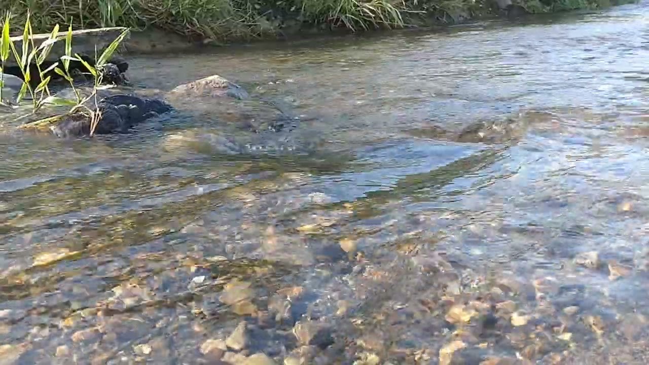 霞川
