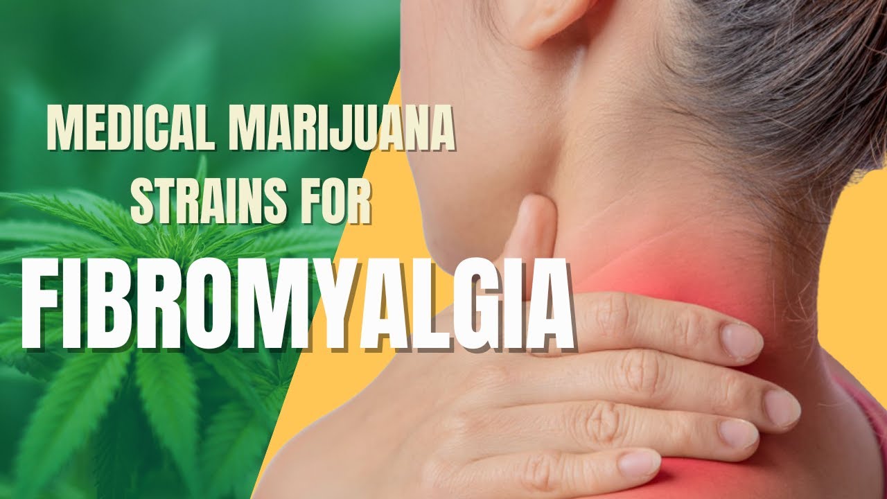 Medical Marijuana Strains for Fibromyalgia