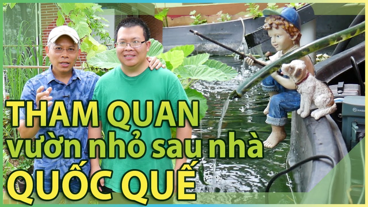 Tham quan vườn nhỏ sau nhà Quốc Quế - Vượt qua những trở ngại để làm vườn.