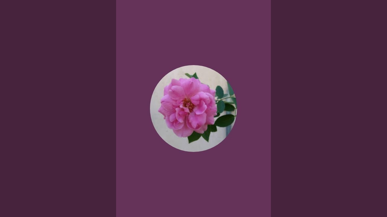 Selvi Ruby is live 11.2.2026 பழைய சோற்றின் நன்மைகள்!!