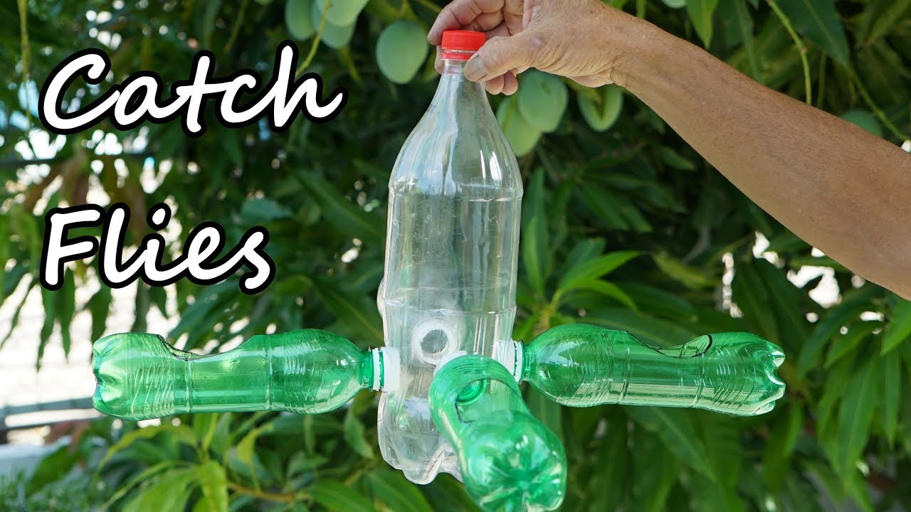 Make a DIY Fly Trap with Plastic Bottle