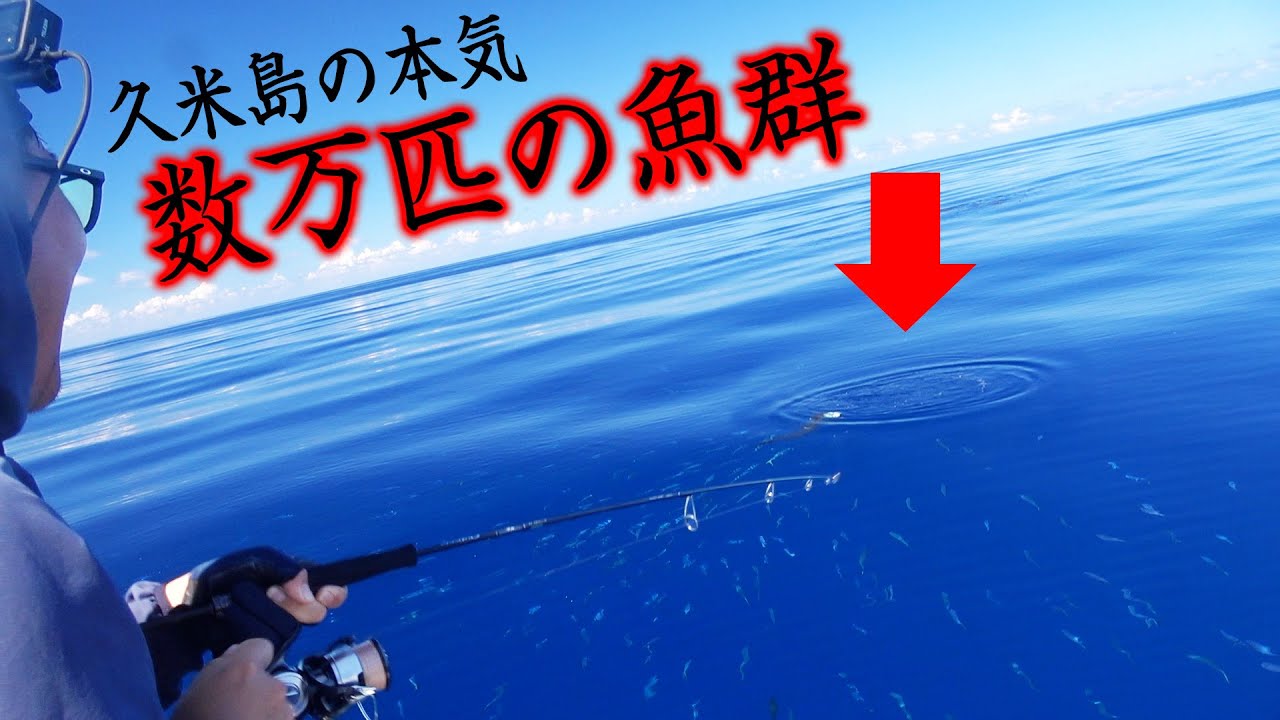 落ちパクで数万匹襲来！巨大魚が食いついた瞬間事件が！？