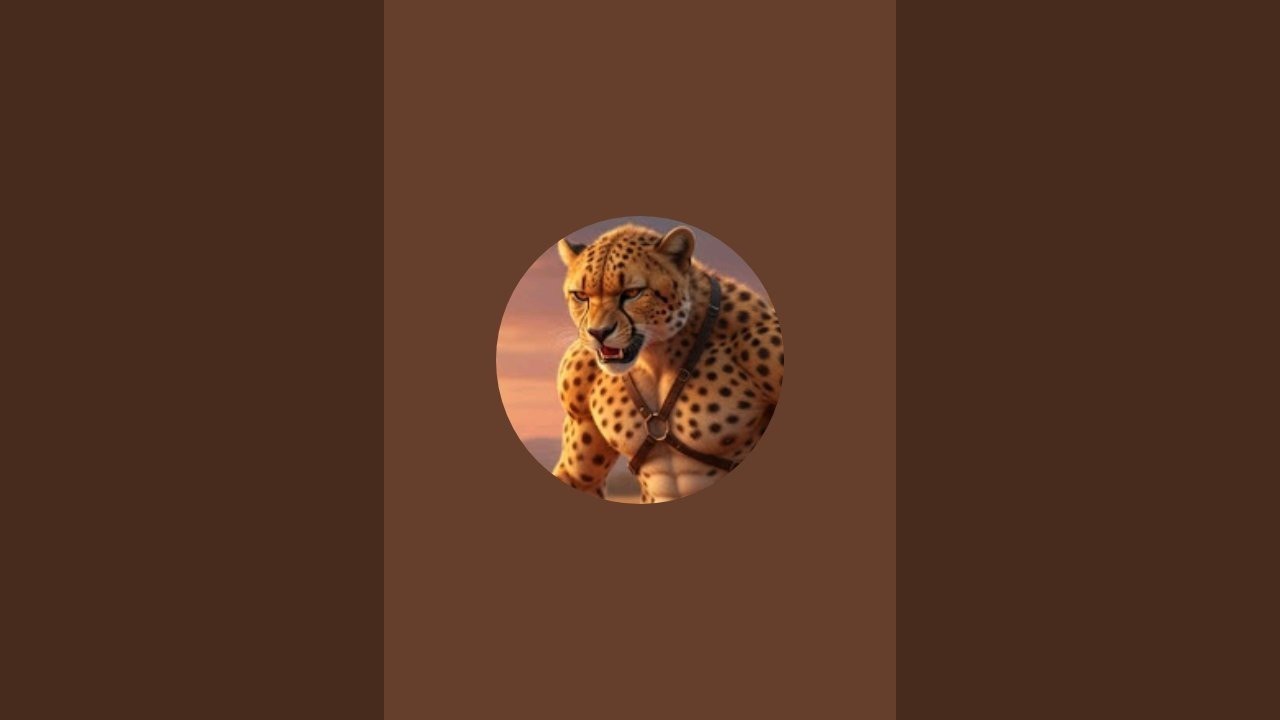 C h e e t a h is live! ගුඩ් මොනින් වස්තුලා .🙏