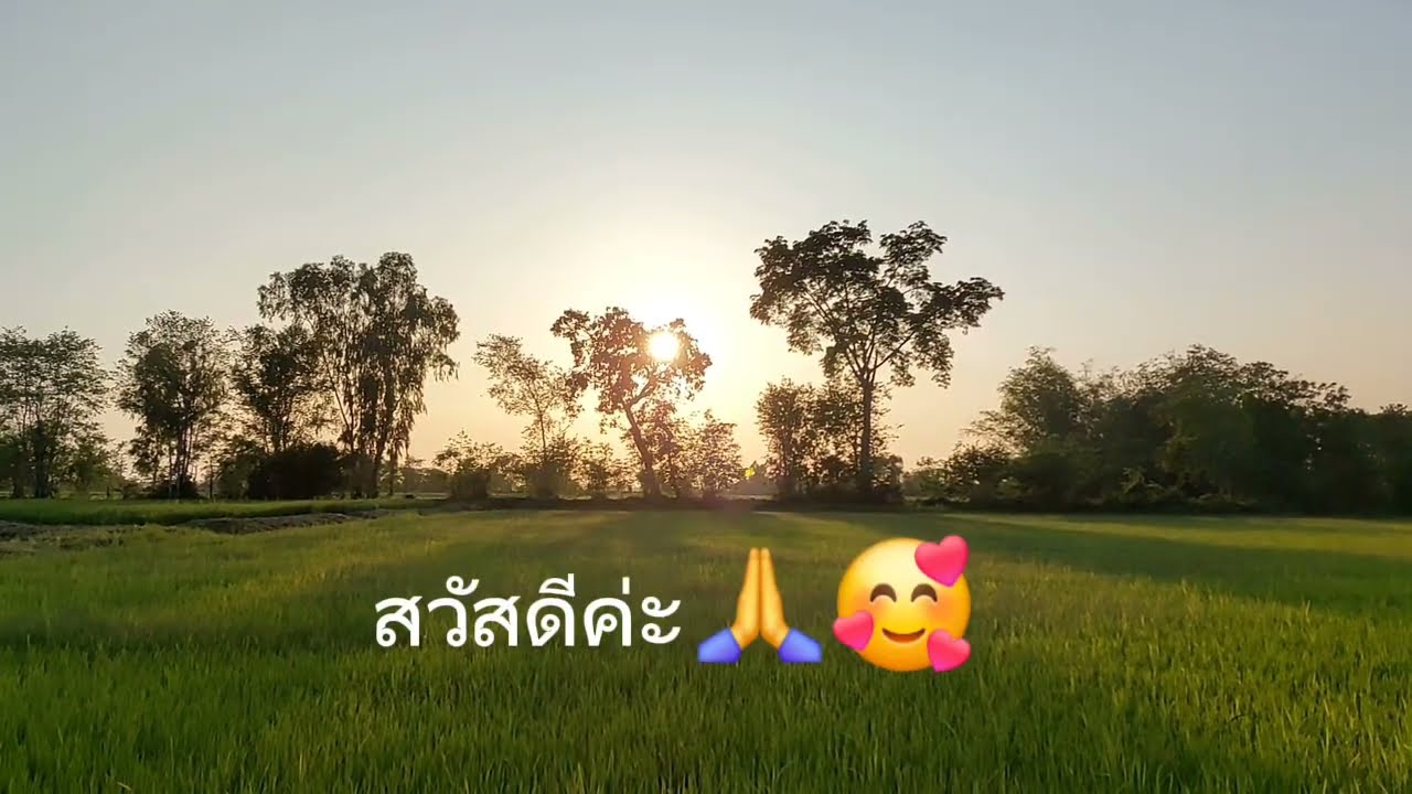 พาเลาะพาอ้อม ชมบรรยากาศข้าวนาทามค่ะ