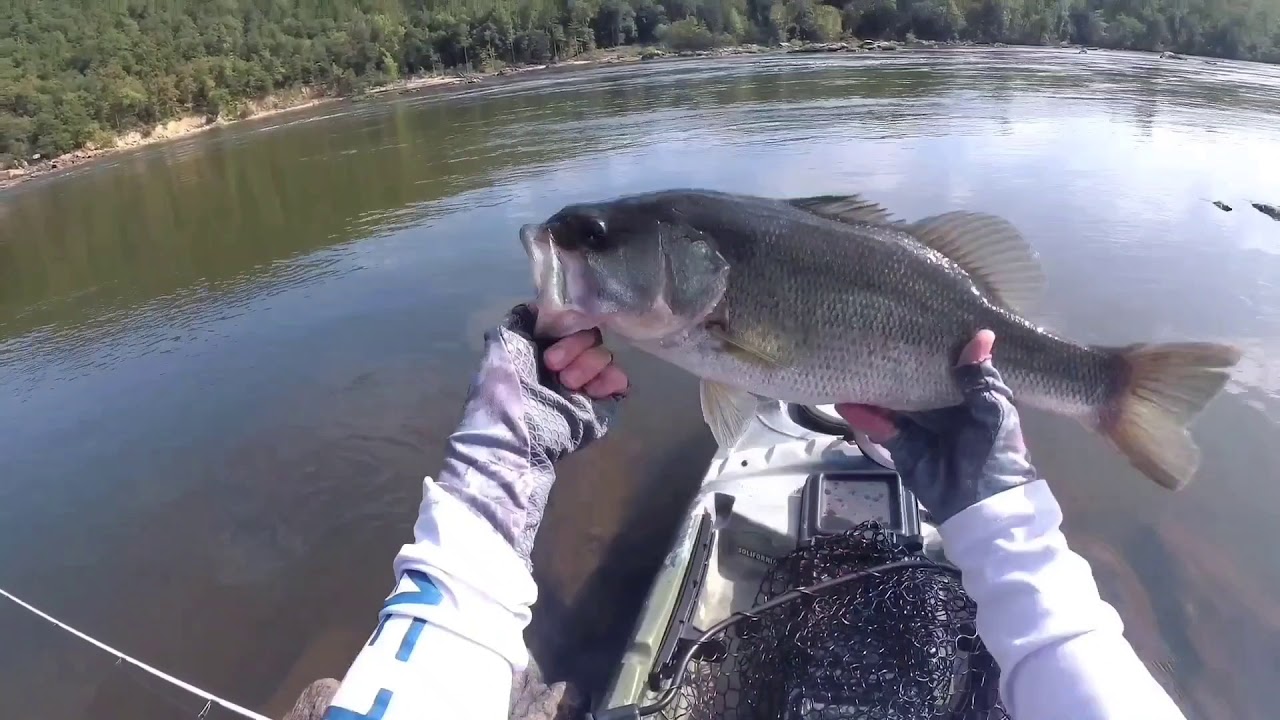 All Topwater Hits (extra 2020 footage)
