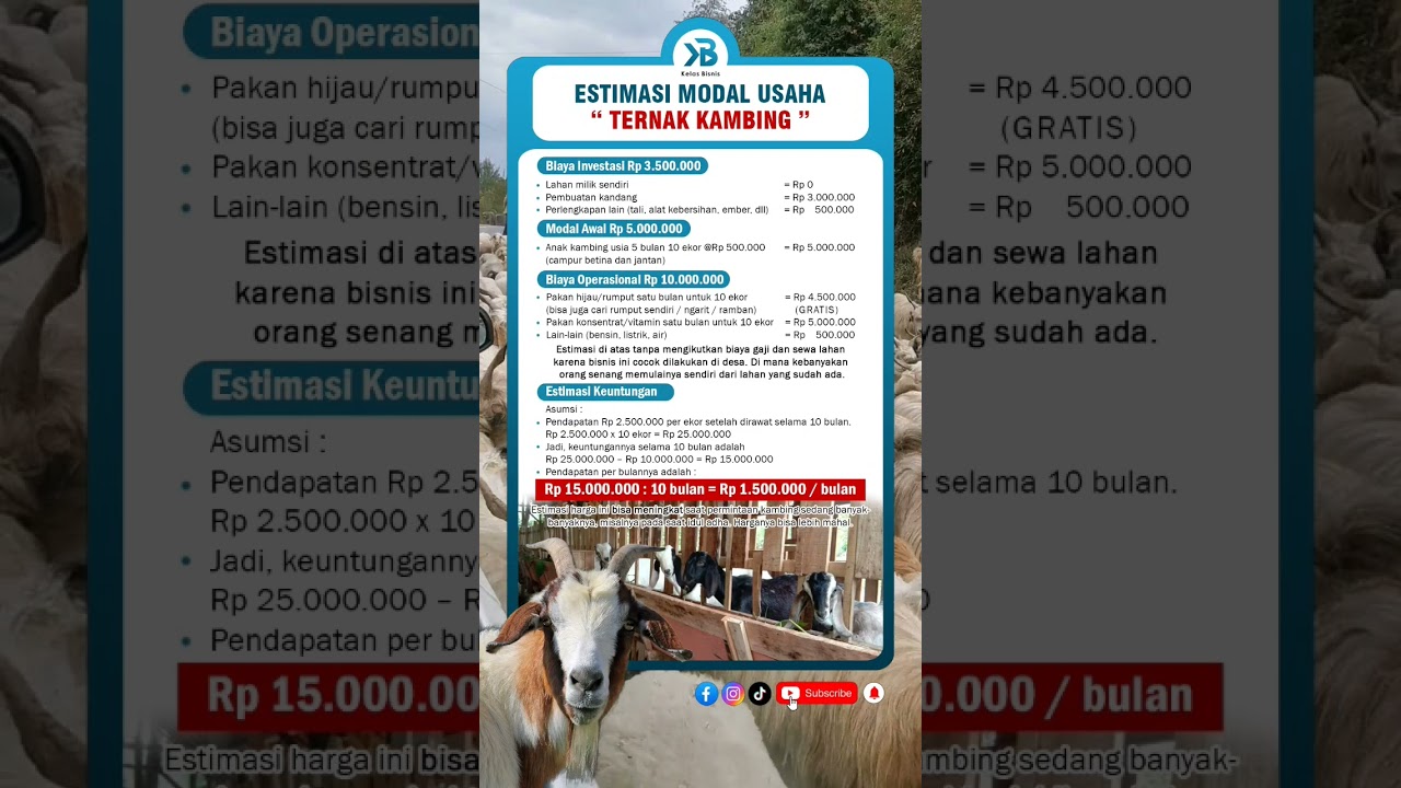 Modal usaha Ternak Kambing 