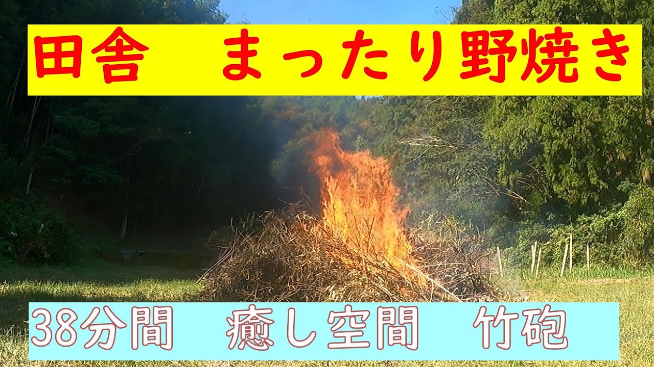 竹林奮闘記 100　#竹林整備　間伐竹　雑木焼却処理　 まったり野焼き　  ＃消し炭作り