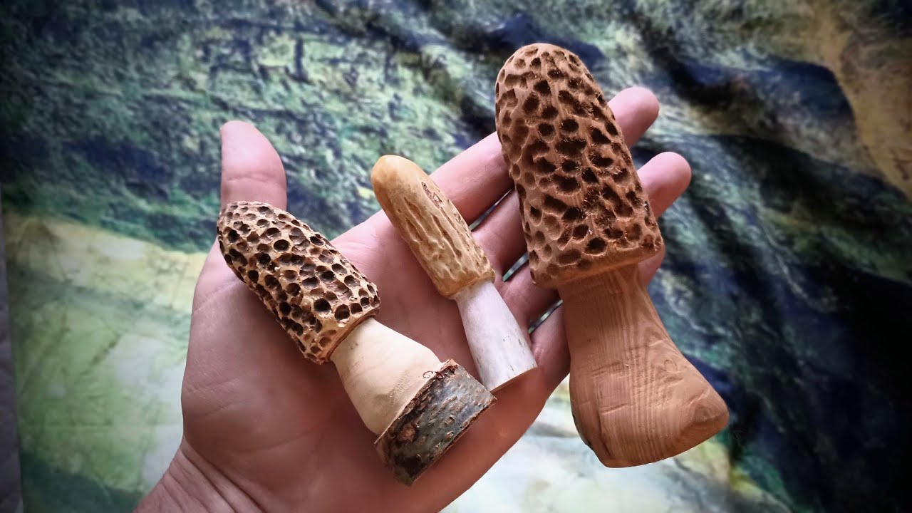 How To Carve Morels Easily In Minutes! ( Deer Antler, Wood, Cottonwood Bark ) Yay!