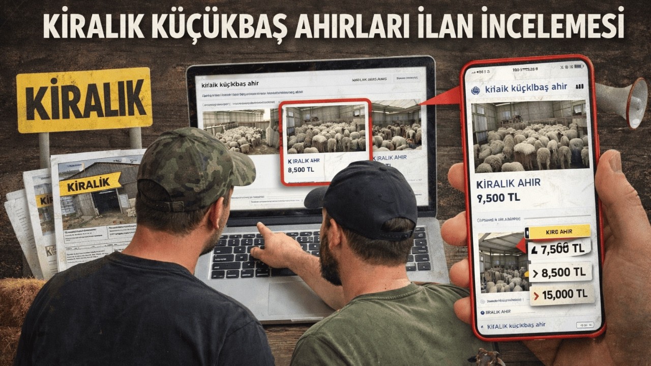 KÜÇÜK BAŞ  KİRALIK AHIR/ İLAN İNCELEMESİ