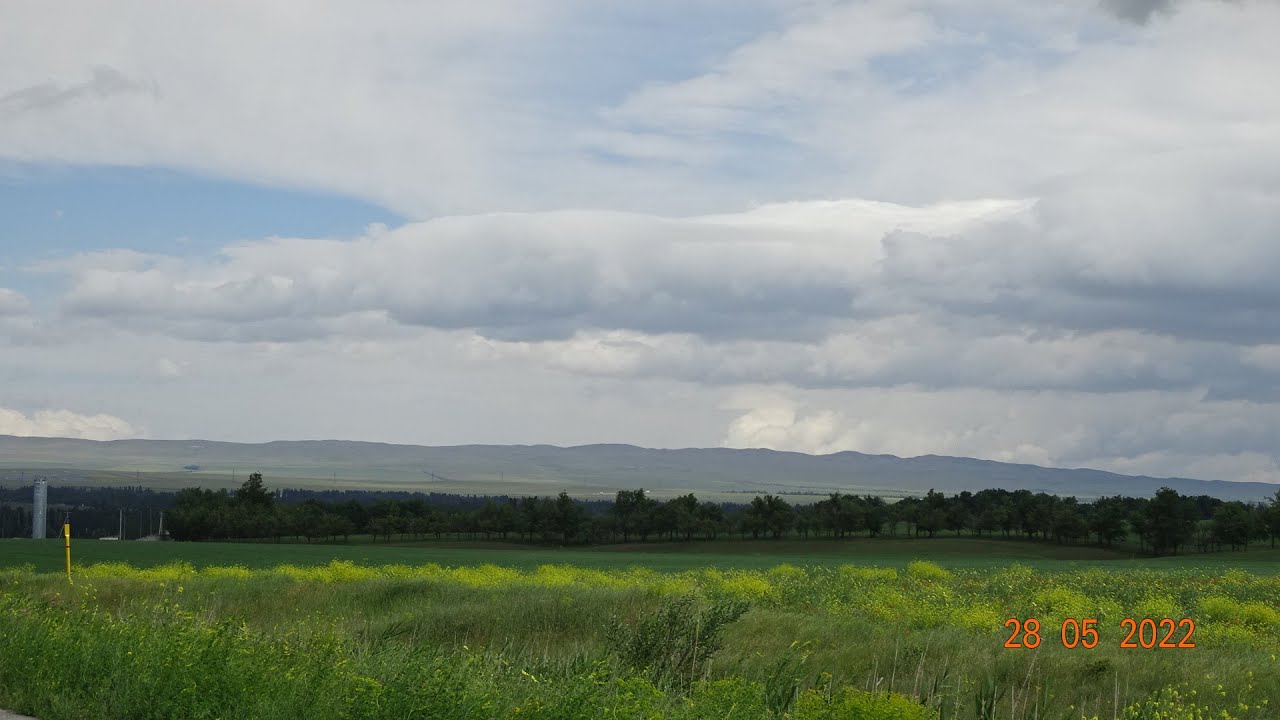 2022 Бурное Прогулка по базару