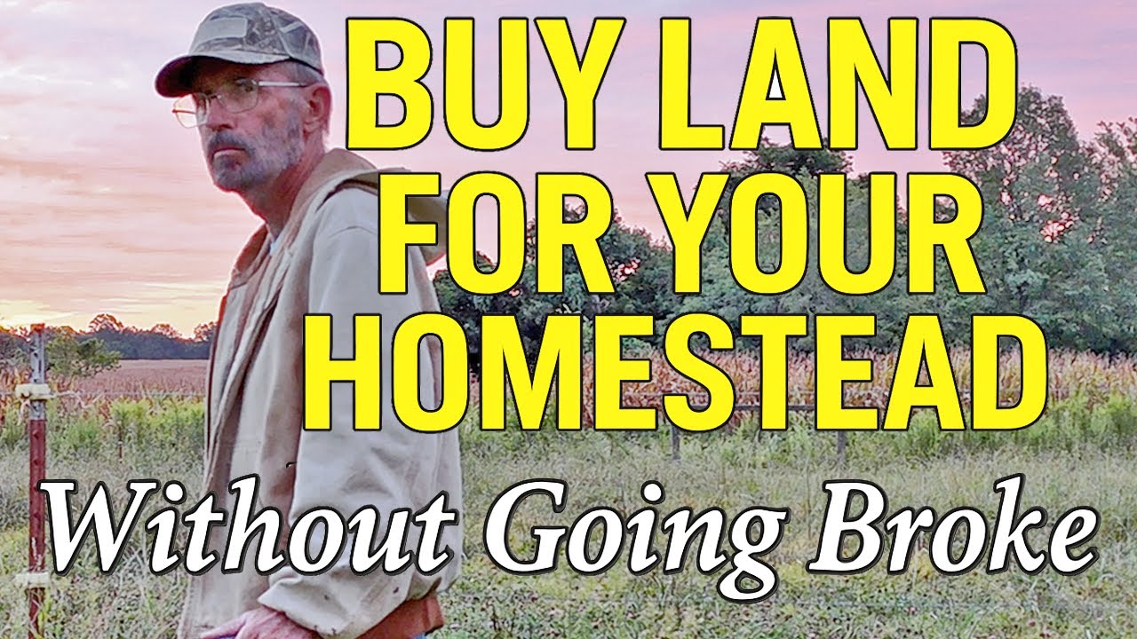 How to Buy Land for Your Homestead (Without Going Broke)