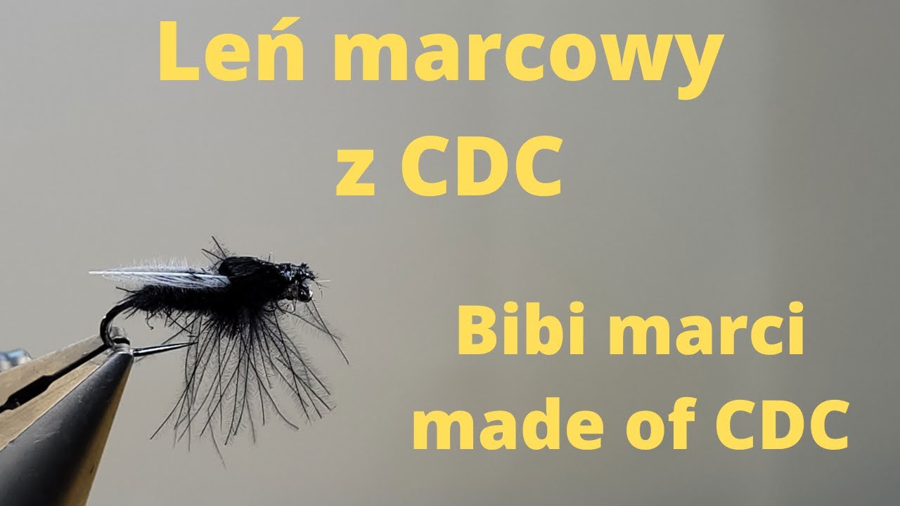👉Jak zrobić Bibio z CDC 🪶Leń marcowy 🪰 Bibio marci 👈