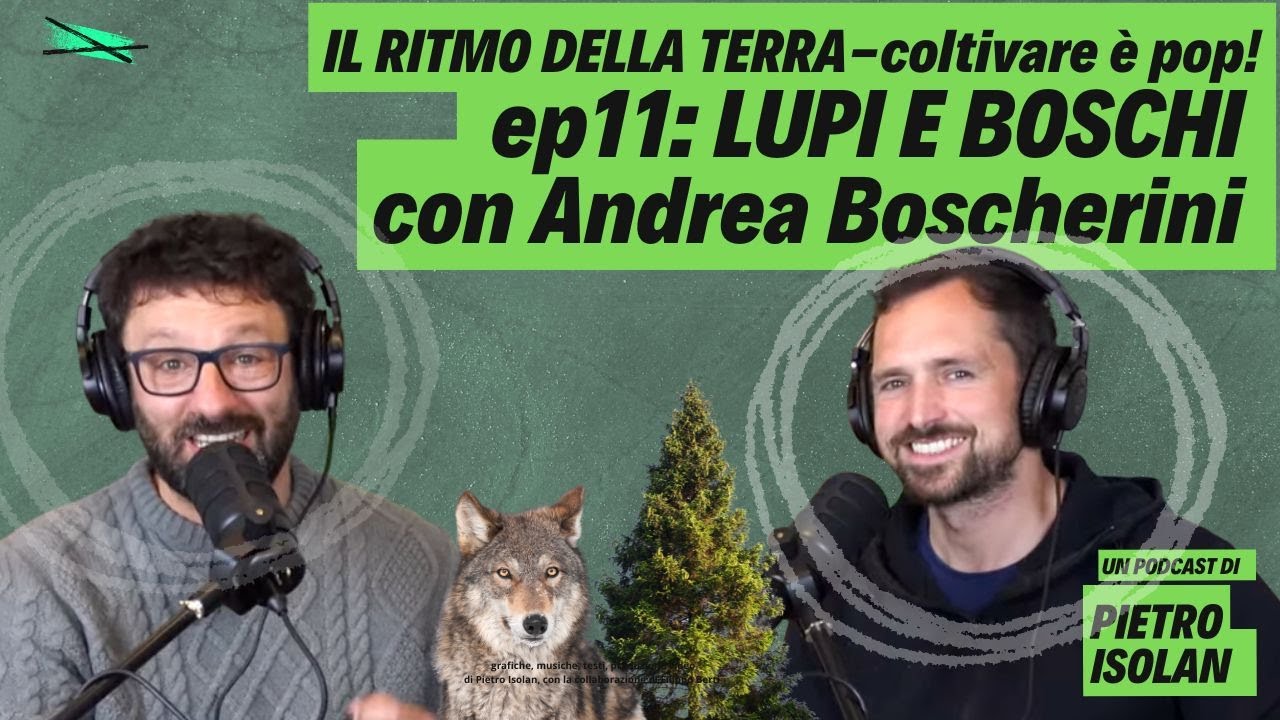 LUPI E BOSCHI con Andrea Boscherini - il ritmo della terra - coltivare è pop ep 11