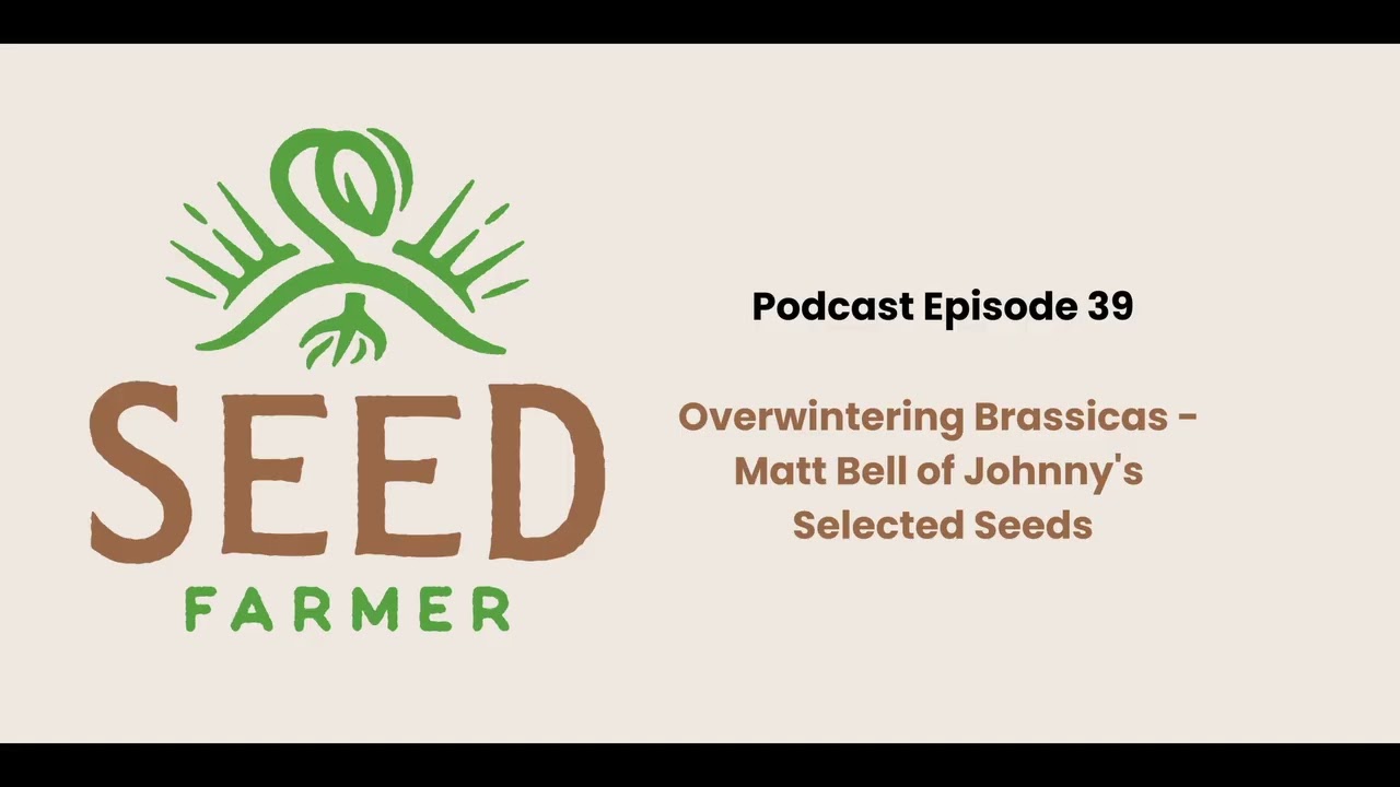Overwintering Brassicas - Matt Bell of Johnny’s Selected Seeds