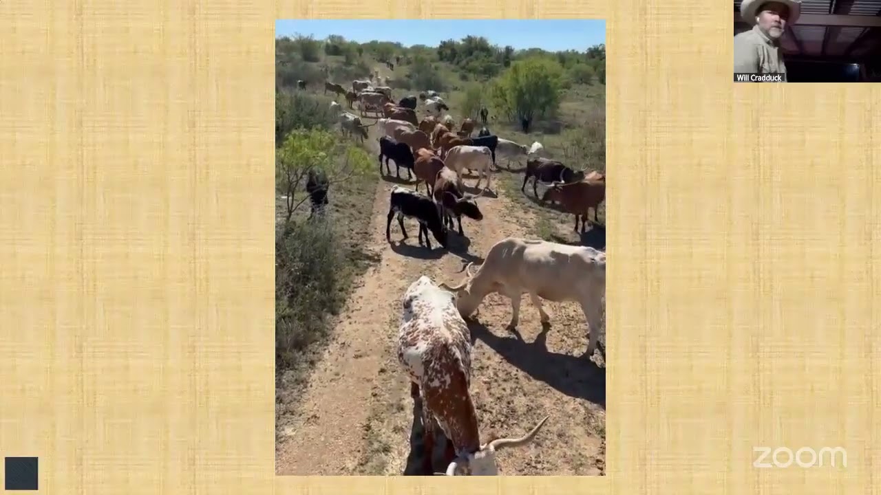 Holidays on the Trail: Returning Home