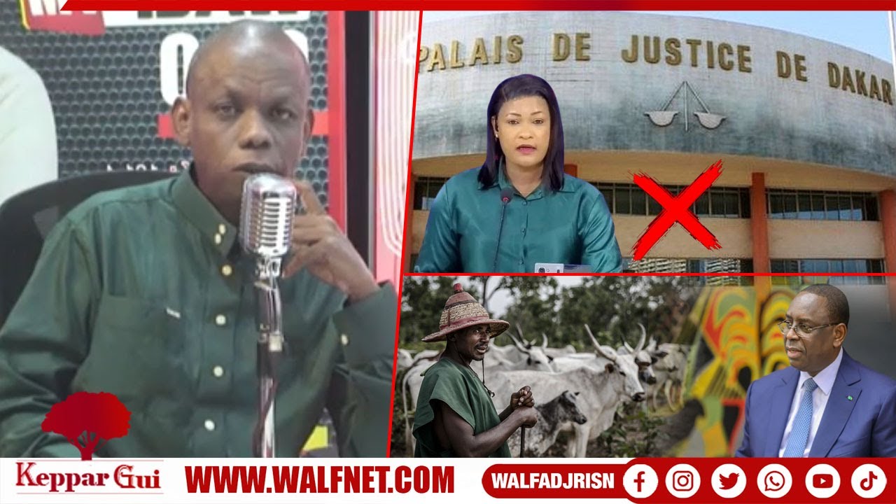 Injure de Ngon&eacute; Saliou contre la communaut&eacute; pulaar : I.Anne d&eacute;nonce fonci&egrave;rement 