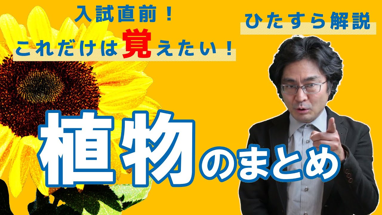 ６年生入試直前！これだけは覚えたい。植物のまとめ