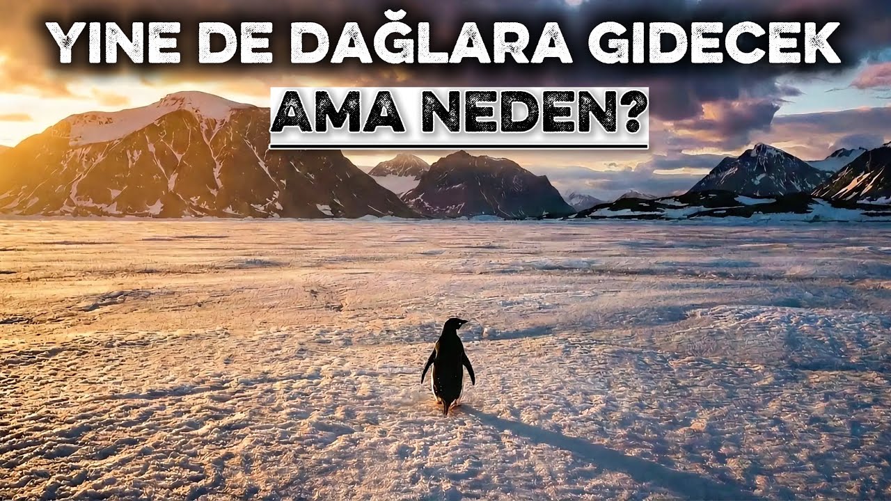 Antarktika’da Bir Nihilist Penguen: Bir Başkaldırı Hikayesi | Dünyanın Başlangıcındaki Karşılaşmalar