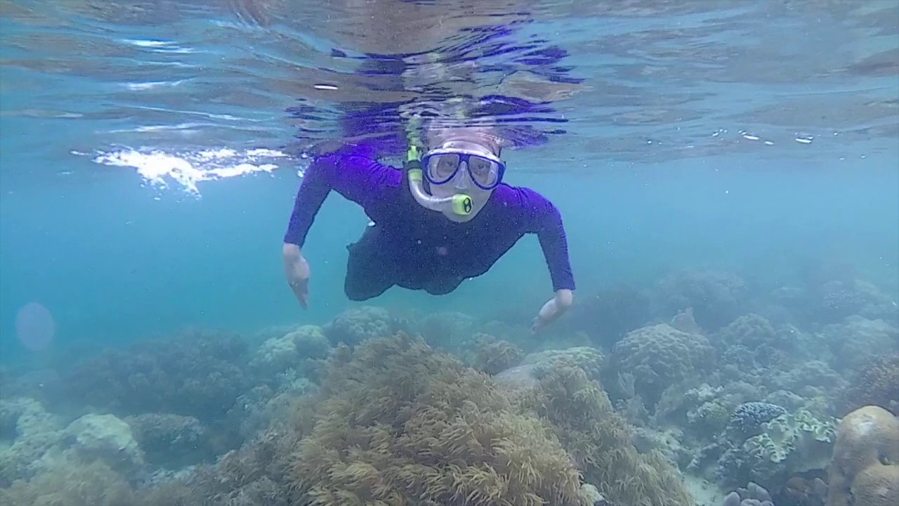 Berau Hari 2: Teluk Sumbang dan Pulau Kaniungan
