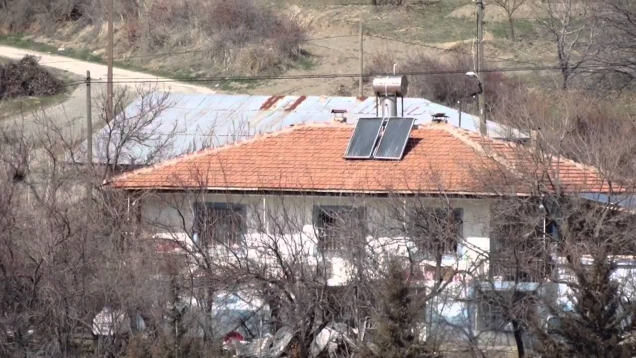 Velipalas KARAALİ D&Uuml;KUŞAĞI ve B&Uuml;VAN