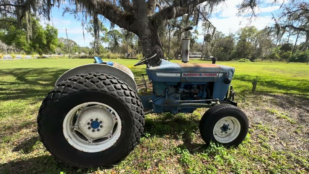 Discover Alva, Florida: A Hidden Gem for Farm Fresh Produce & Unique Finds at Rooster's Stand!
