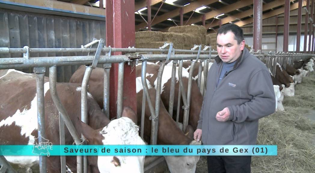 Saveur de saison - Le bleu du Pays de Gex