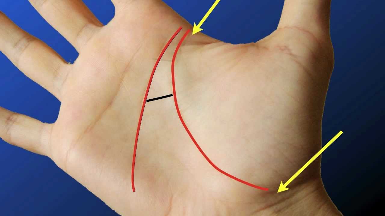 Palmistry Reading : Marriage & Love Hindu Method