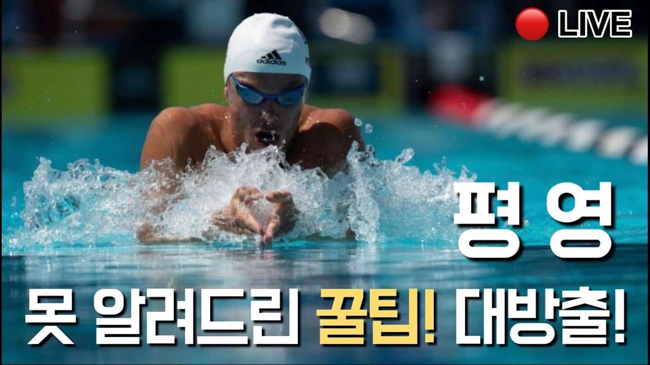 못알려드린 평영 꿀팁 전부 알려드려요!!!