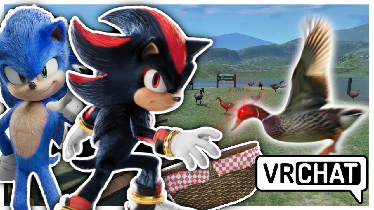 Movie Shadow and Movie Sonic Go On A Picnic In VR CHAT!