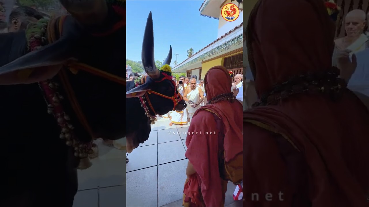 Sri Manjunatha Swamy Dharmasthala | Sringeri Jagadguru Shankaracharya | Sri Sannidhanam Vijaya Yatra