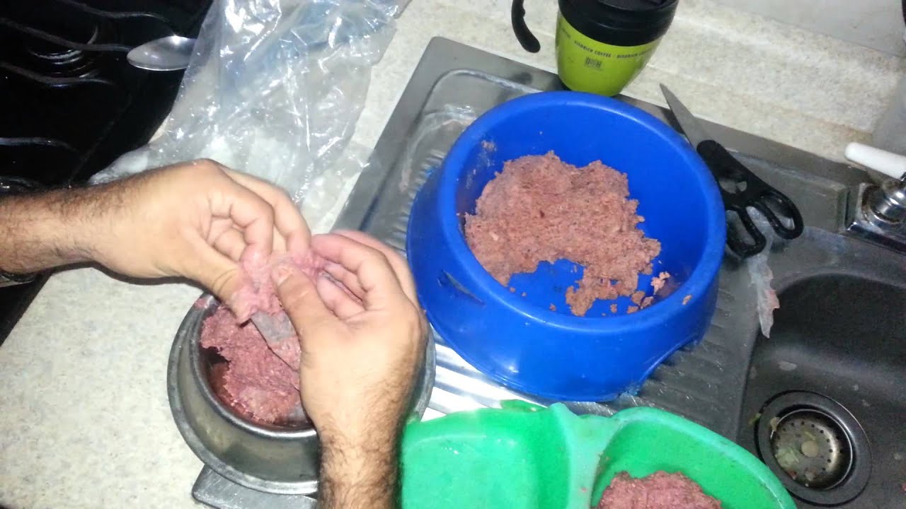 Tutorial de como alimentar a tus perros
