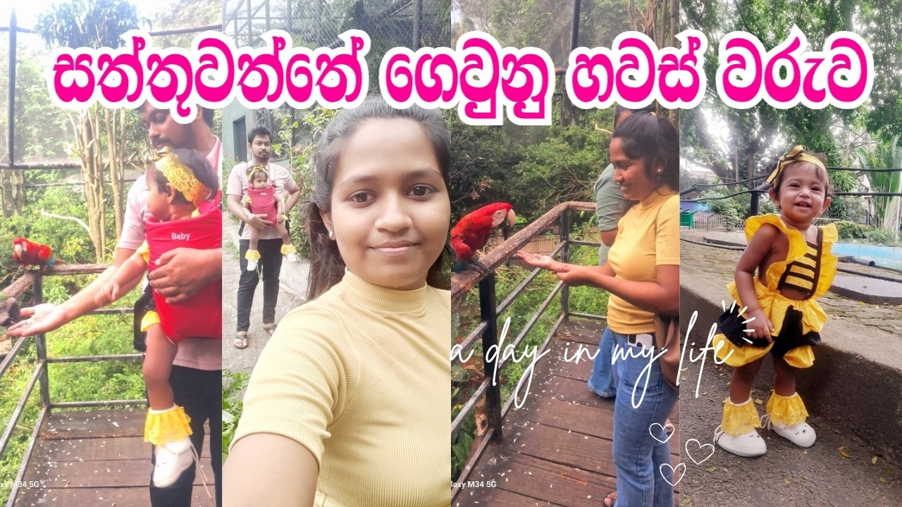 දෙහිවල සත්තුවත්තේ අපේ ලස්සන දවස | Family Vlog at Dehiwala Zoological Garden 🐘🦒|  sunset view  🌅🌊